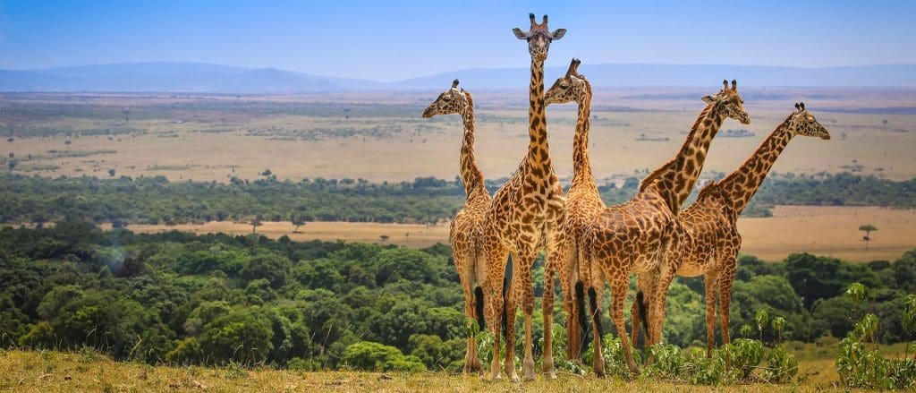 Reasons To Book A Nairobi City Tour For Summer 20 Reasons To Book a Nairobi City Tour for Summer