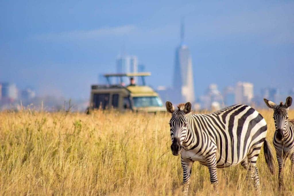Reasons To Book A Nairobi City Tour For Summer 10 Reasons to Book a Nairobi City Tour for Summer