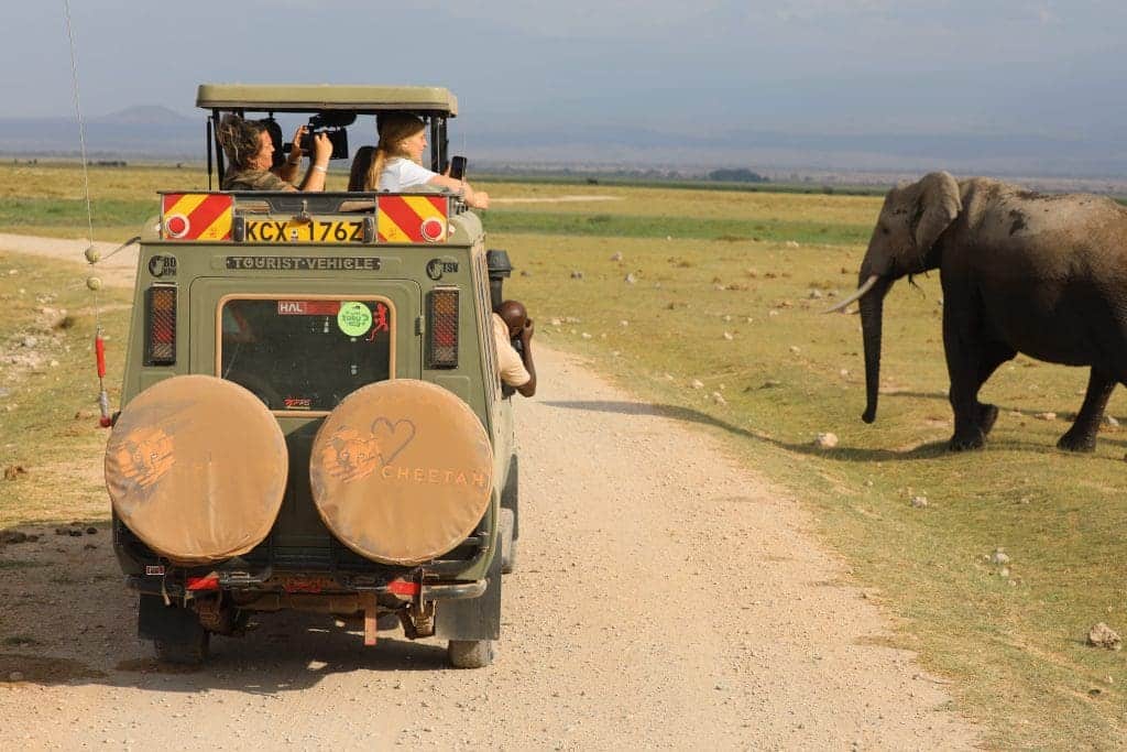 How Much Does An African Safari Cost? 10 How Much Does a Kenya or Tanzania Safari Holiday Cost - African Safari Cost
