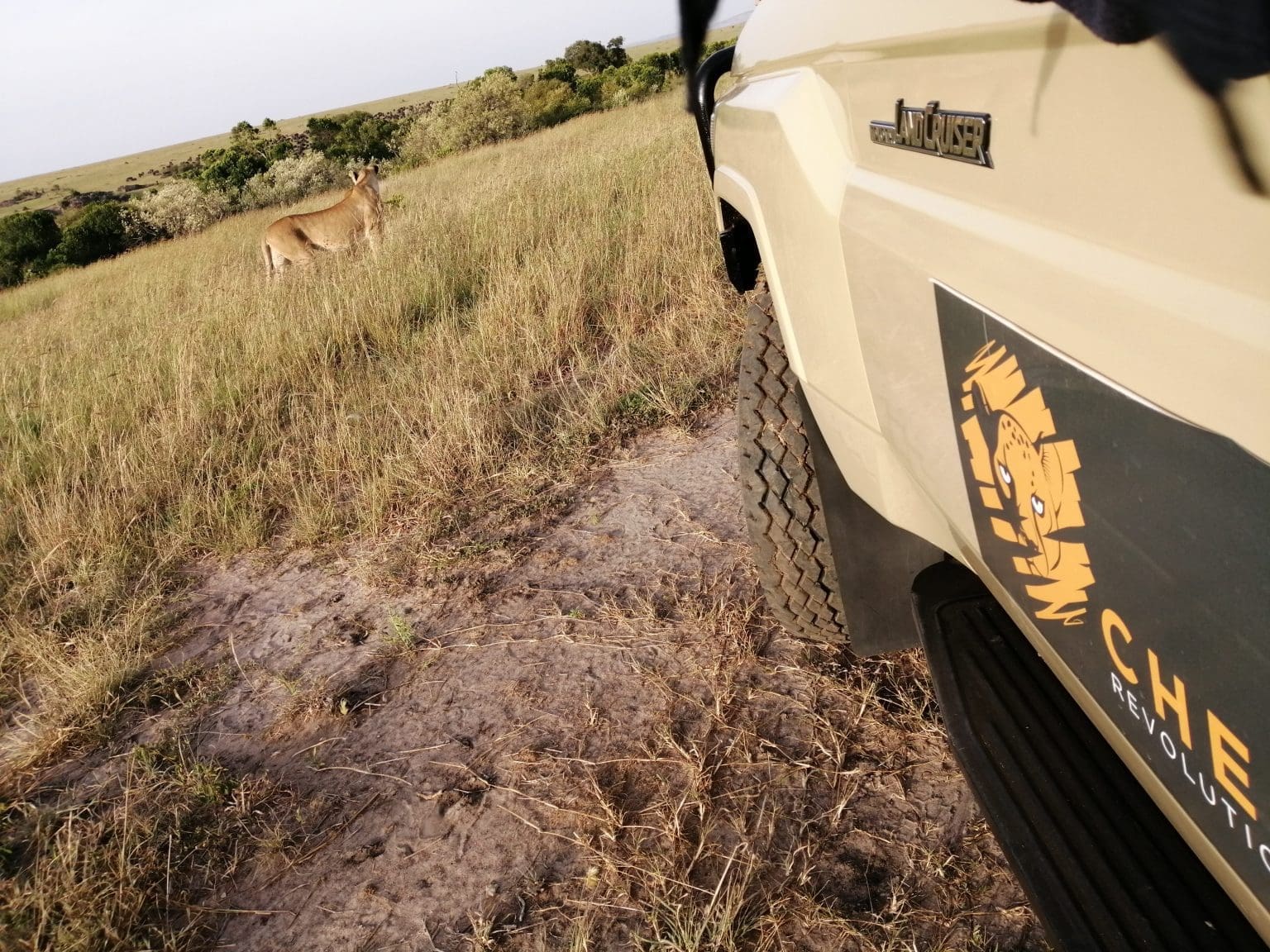 Kenya and Tanzania Safaris - Kenya Safaris - Tanzania Safaris - Private Safaris - Family Safaris - Cheetah Safaris