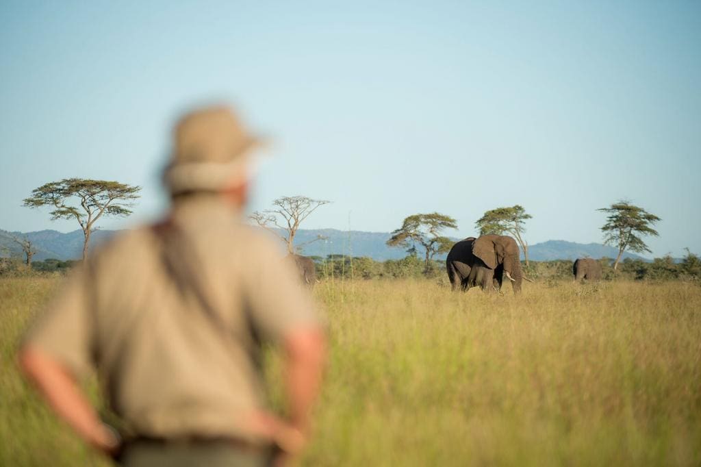 africa safari holidays