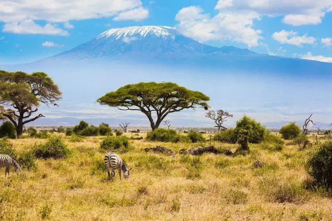 Amboseli National Park Safari
