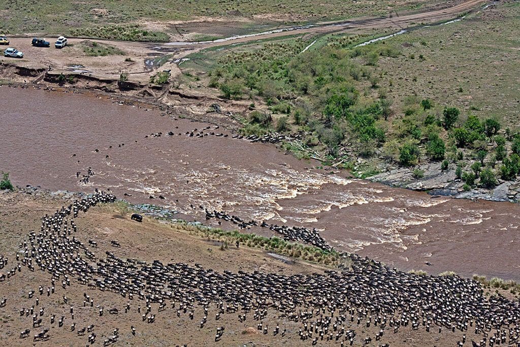 Wildebeest Migration Safaris in Kenya and Tanzania - Cheetah Safaris