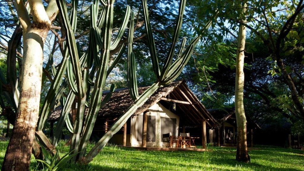 voyager ziwani galleryvt 105