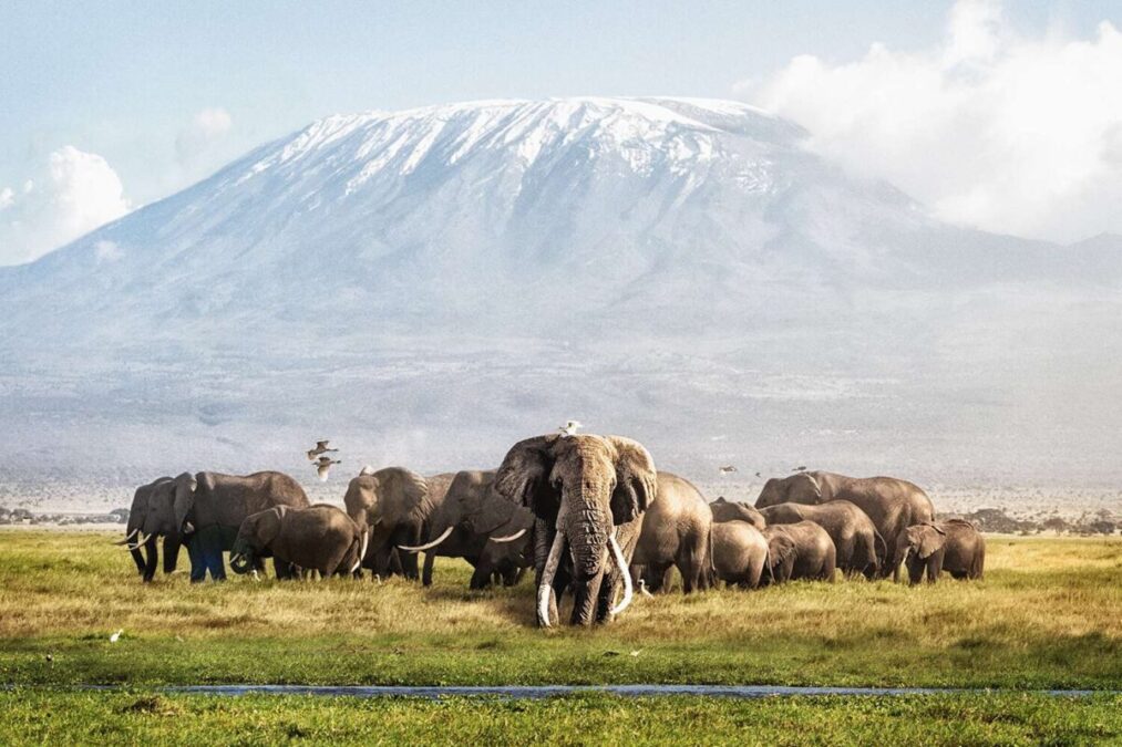 Rainy Season in Kenya - Kenya Safaris - Amboseli