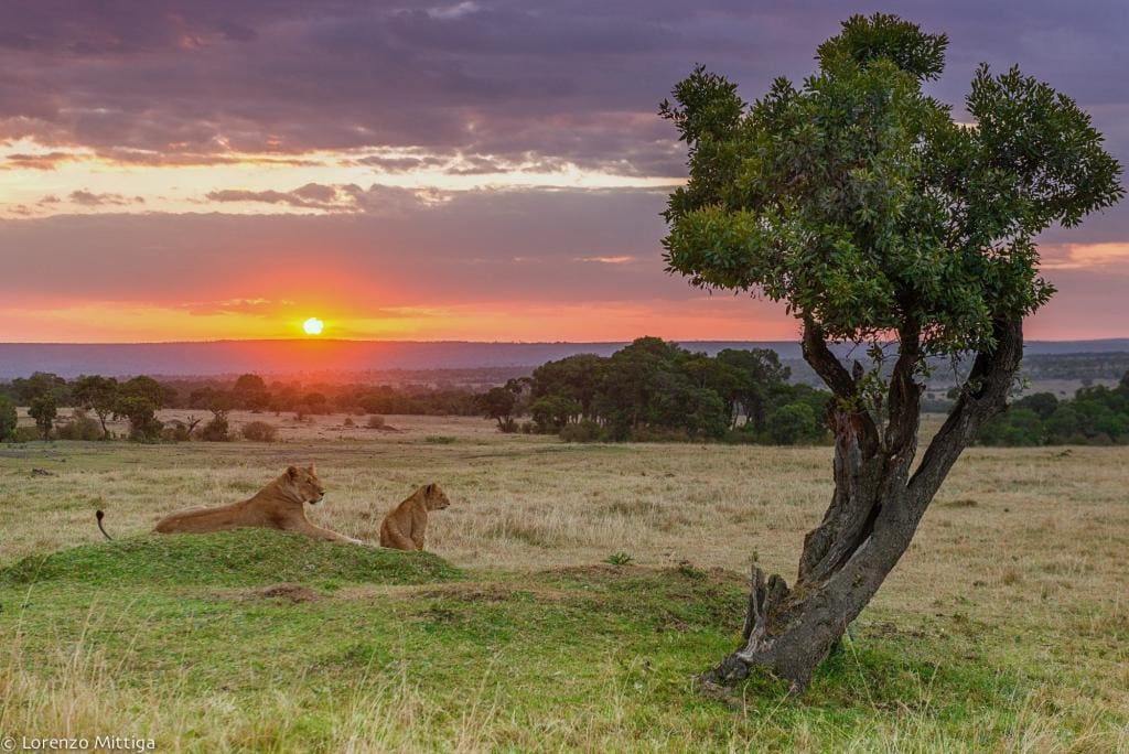Mara North Conservancy - Masai Mara - Cheetah Safaris