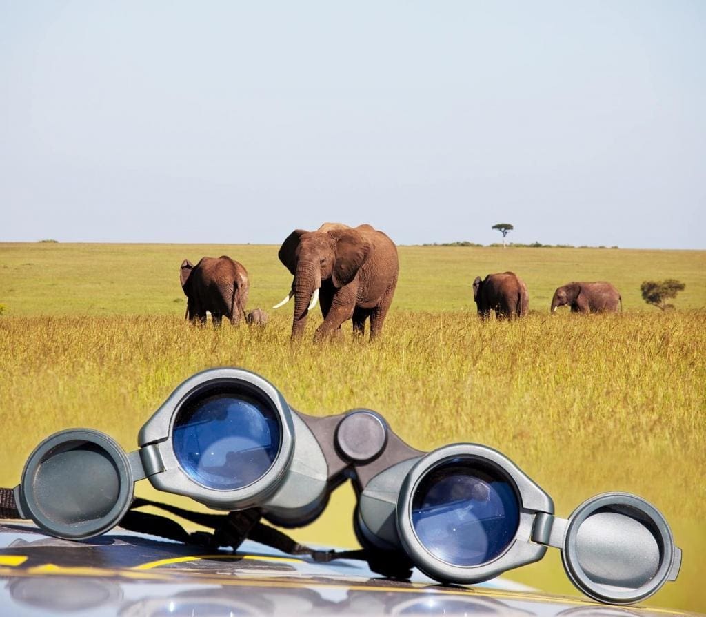 Best Complete Masai Mara Game Reserve Guide For Tourists 18 Naboisho Luxury Camp - Naboisho Conservancy - Masai Mara Safaris - Cheetah Safaris