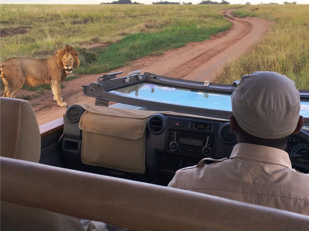 5 Safari National Parks To Visit Around Nairobi 15 4b65ca 22dfc4d9b2cb43b8895b1293137f6dc4 mv2 d 3200 2400 s 4 2