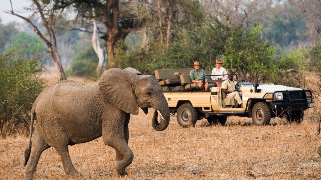 North Luangwa National Park