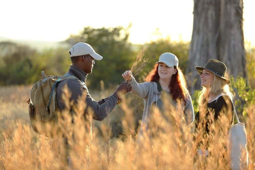 Best Fly - In (Flying Safaris) Safaris In Tanzania 11 Kenya Safaris - Tanzania Safaris - Kenya and Tanzania Safaris - African Safaris Holidays - Serengeti Safaris - Cheetah Safaris