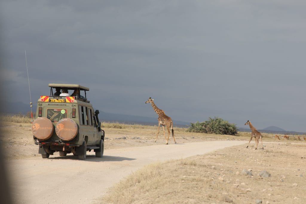 Why Safari Guides Are Important - Best Safari Guides In Africa 14 How Much Does a Kenya or Tanzania Safari Holiday Cost