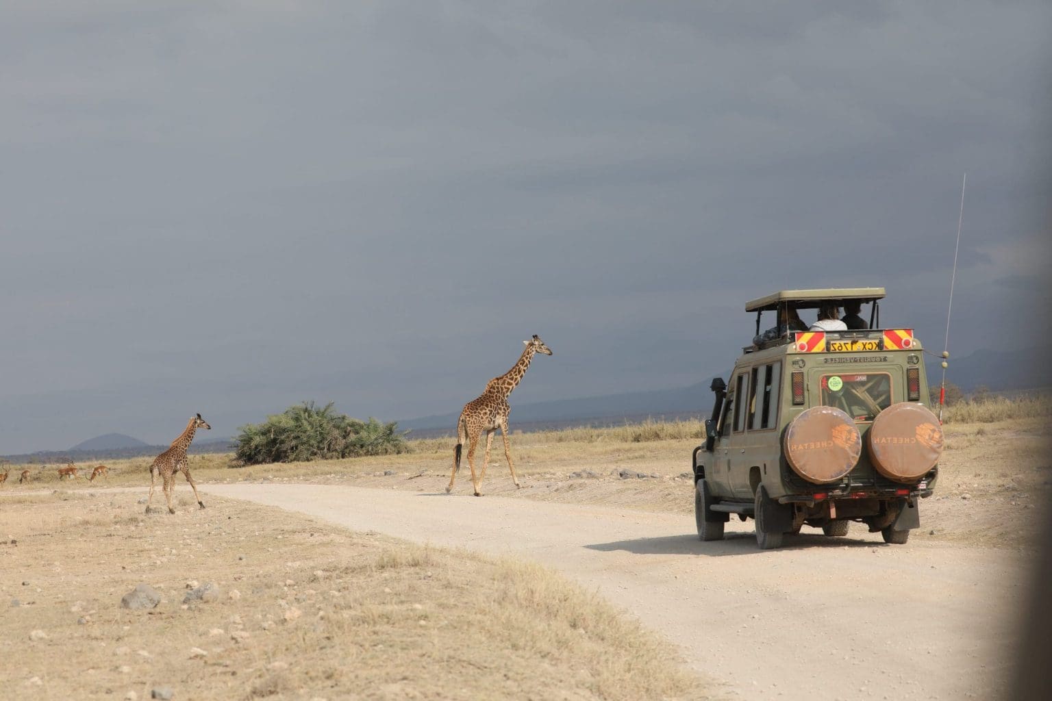 How Much Does a Kenya or Tanzania Safari Holiday Cost