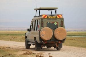 What Is A Game Drive On African Safaris? 15 Amboseli National Park Kenya Safari