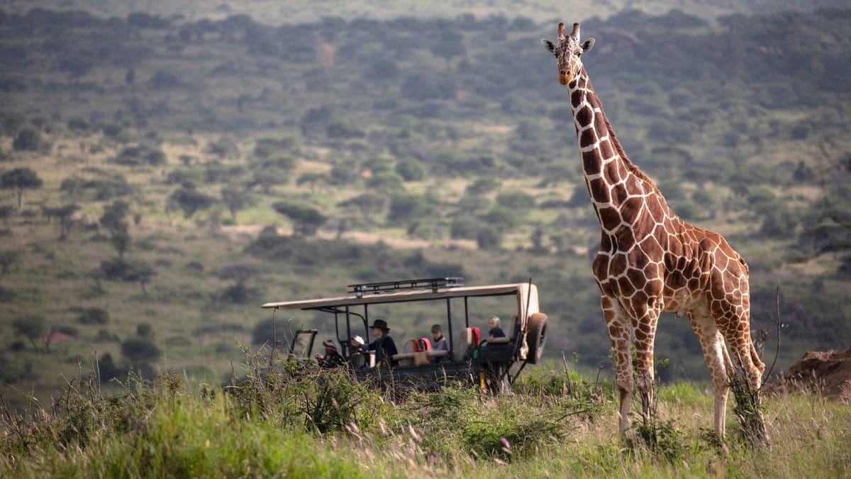 Samburu National Reserve - Kenya Safaris - Cheetah Safaris