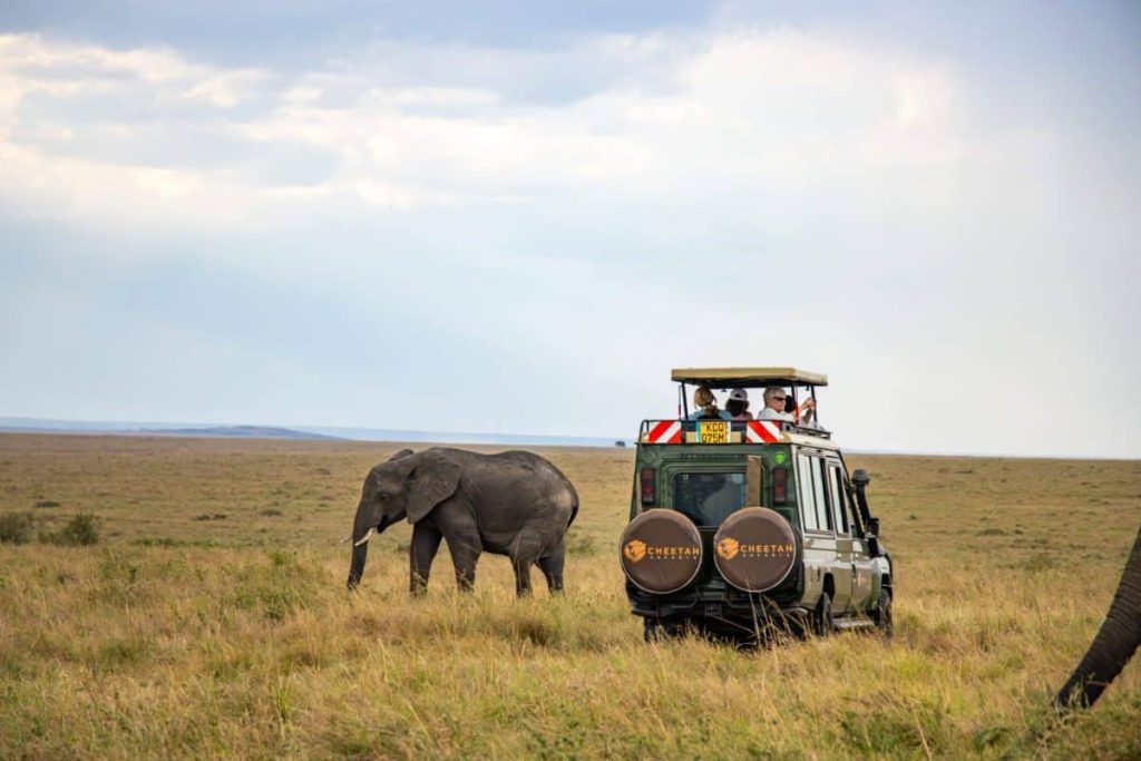 How Much Does an African Safari Cost?