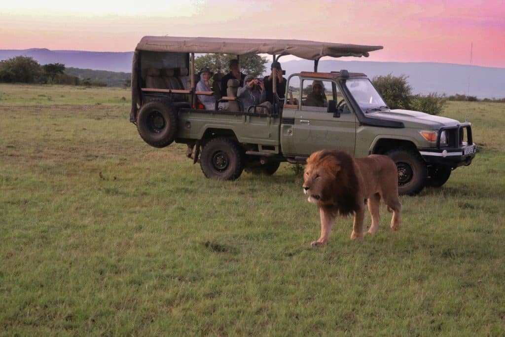5 Best Safaris For seniors