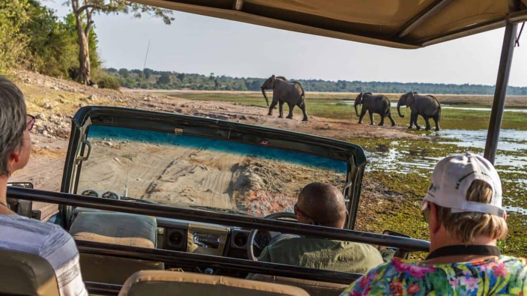 How Much Does an African Safari Cost?