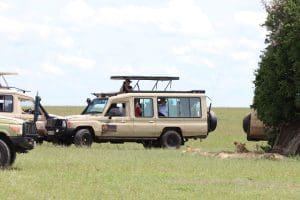 What Is A Game Drive On African Safaris? 14 Kenya Safaris - Wildlife Safaris in Kenya - Kenya Wildlife Tours - Kenya Safari Holidays - Cheetah Safaris