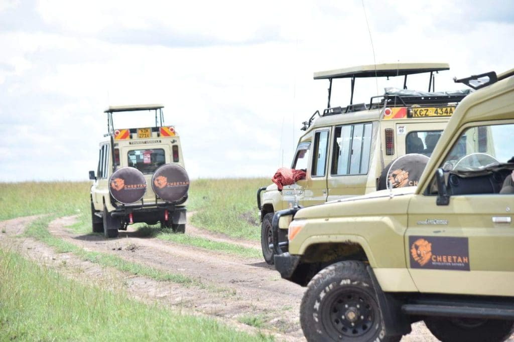 Why Safari Guides Are Important - Best Safari Guides In Africa 16 Kenya Safaris - Wildlife Safaris in Kenya - Kenya Wildlife Tours - Kenya Safari Holidays - Cheetah Safaris