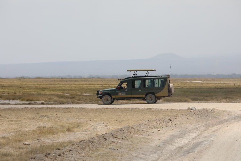 How Much Does A Safari In Tanzania Cost? 12 Kenya Safaris - Amboseli Safaris - Kenya Safari Holidays - African Safaris - Cheetah Safaris