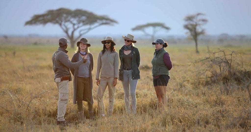 What Not To Do On A Safari In Africa - 10 Things To Avoid On Safari 17 Tanzania Safaris -African Safaris Holidays - Serengeti Safaris - Ngorongoro Safaris - Cheetah Safaris
