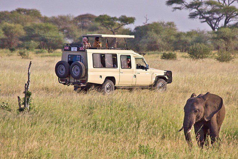 How Much Does A Safari In Tanzania Cost? 14 How much does a safari in Tanzania cost