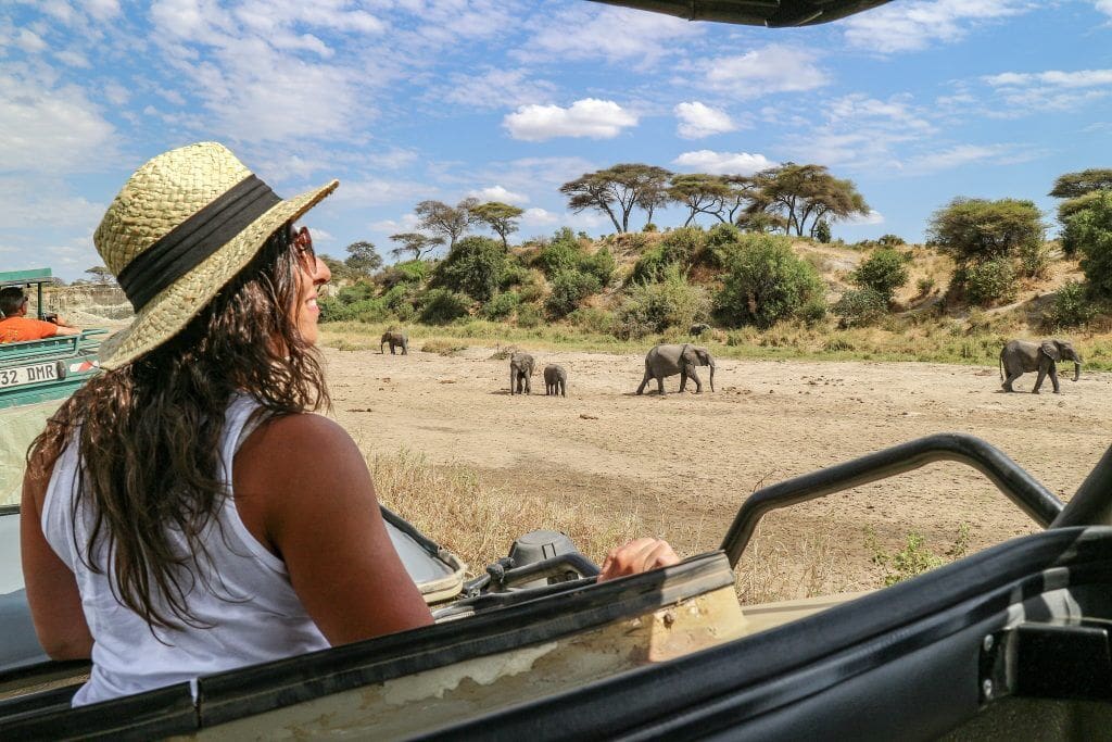 How Much Does A Safari In Tanzania Cost? 11 How much does a safari in Tanzania cost in 2023 or 2024