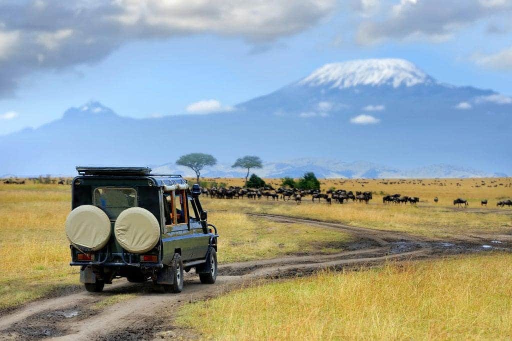 Amboseli National Park - Kenya or Tanzania? Which is better for Safaris? - African Safaris - Safari Destinations - Kenya Safaris - Expert afaris