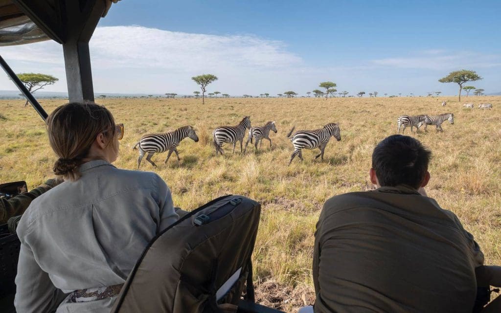 Why Safari Guides Are Important - Best Safari Guides In Africa 12 What to Expect on Your First African Safari - Tourist Guide