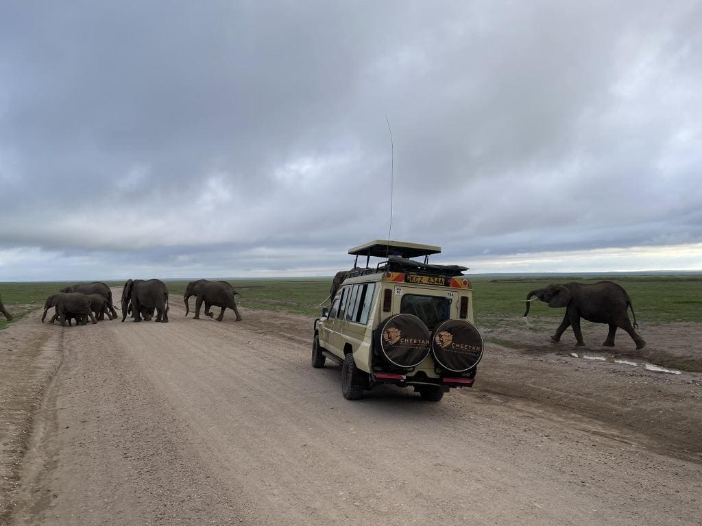 Kenya Safaris - Wildlife Safaris in Kenya - Kenya and Tanzania combined safaris - Kenya Safari Holidays - Cheetah Safaris