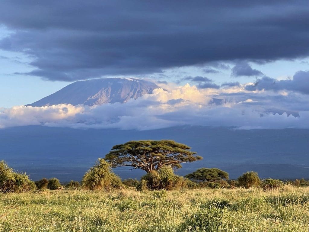 How To Book An African Safari In Kenya 14 How to Book an African Safari in Kenya - Tourist Guide