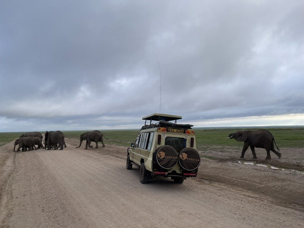 How To Book An African Safari In Kenya 15 How to Book an African Safari in Kenya - Tourist Guide