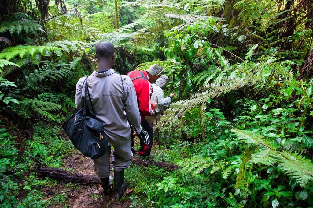 What to Pack For Gorilla Tracking Safari in Uganda.