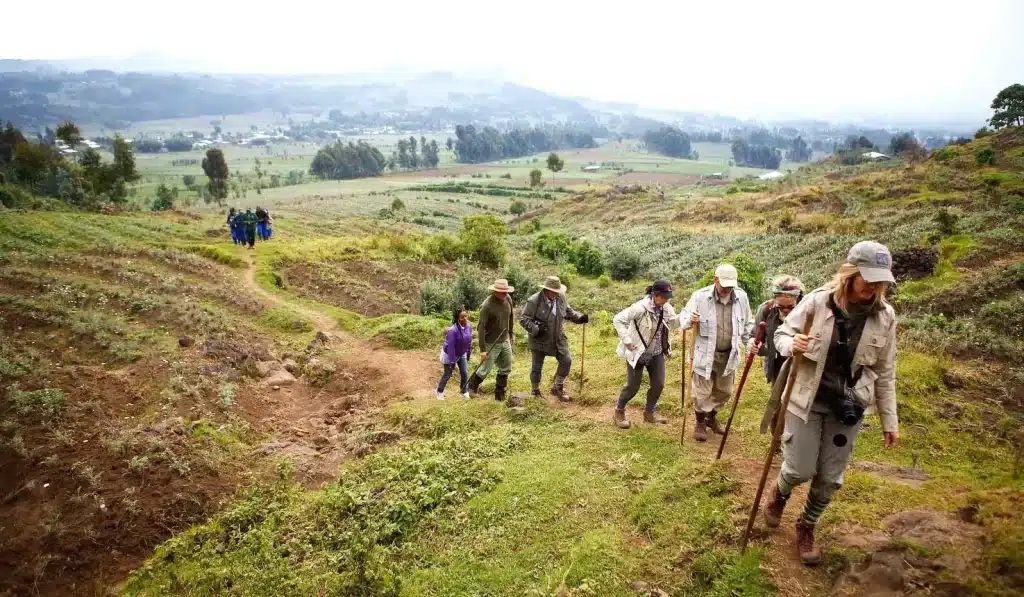 What To Pack For Gorilla Trekking Safari In Uganda. 5 Gorilla Trekking Packing List