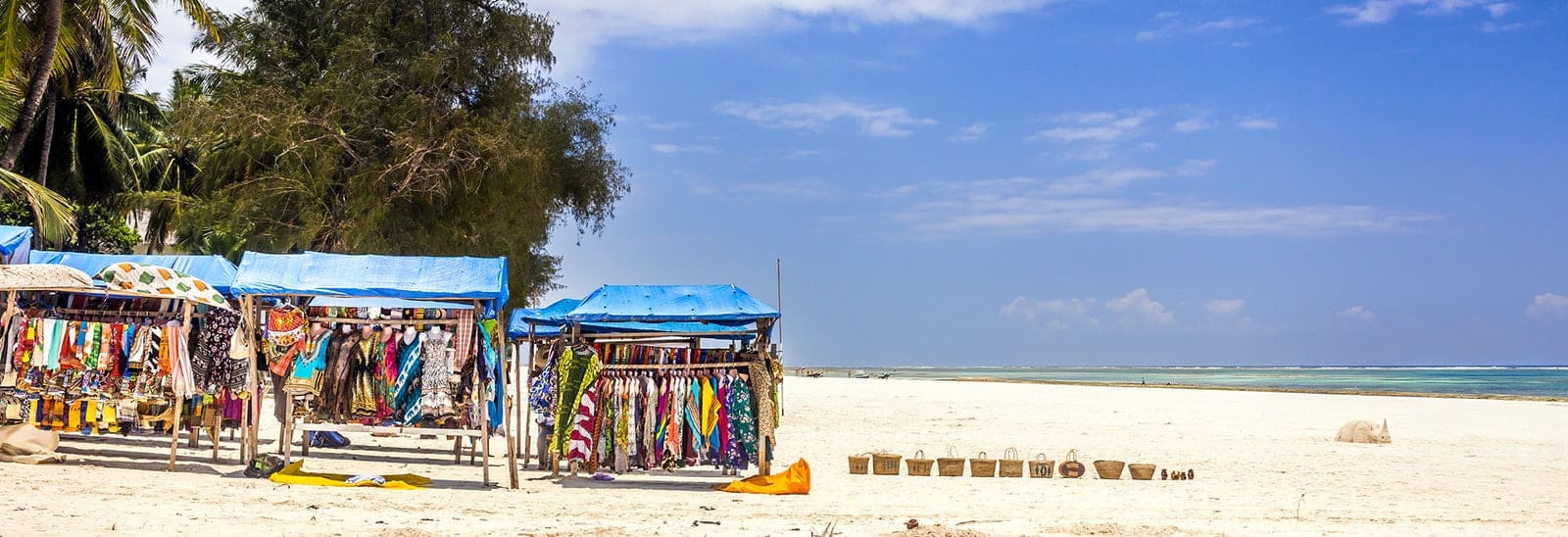 Best Time To Visit Tanzania 26 Bush to Beach Safaris - Kenya Bush to Beach Safaris - Bush to Beach Safaris in Kenya - Kenya Safaris - Bush to Beach Kenya Safaris - Cheetah Safaris