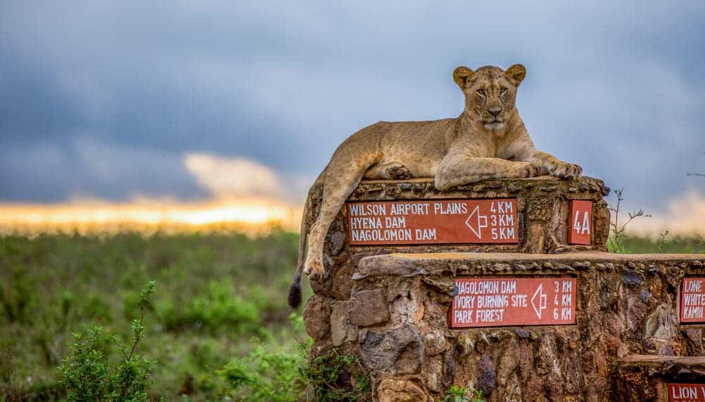 Nairobi National Park