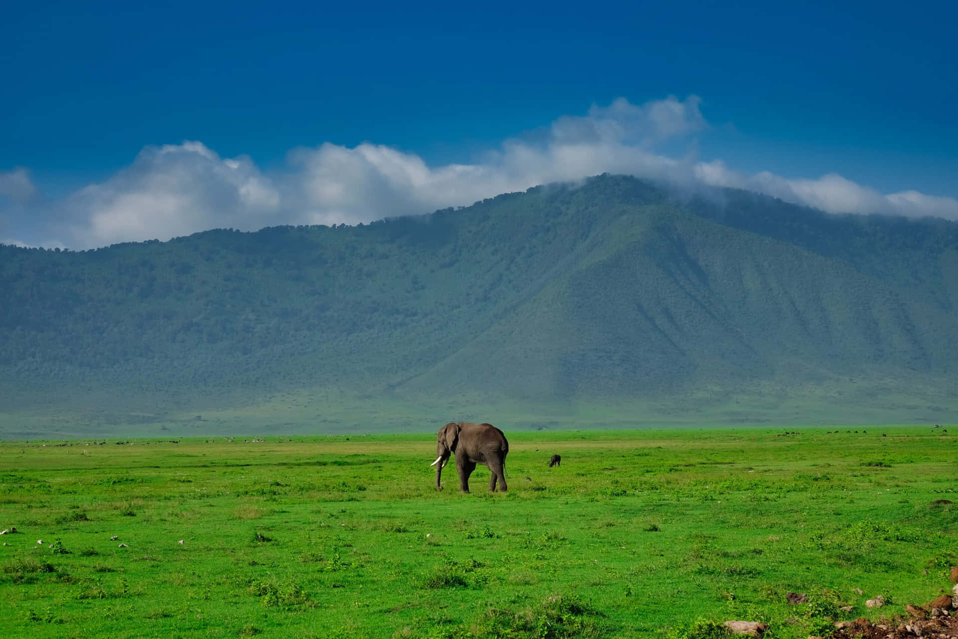 Ngorongoro Conservation Area