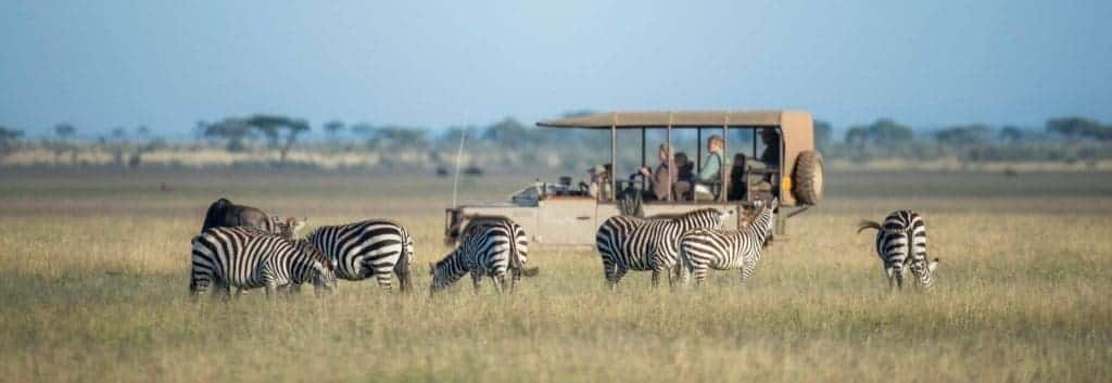 What To Know Before Booking A Kenya Safari 16 Luxury Safaris in Kenya and Tanzania - Luxury Safaris in Africa