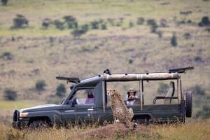 What Is A Game Drive On African Safaris? 12 Honeymoon Safaris in Kenya - Cheetah Safaris