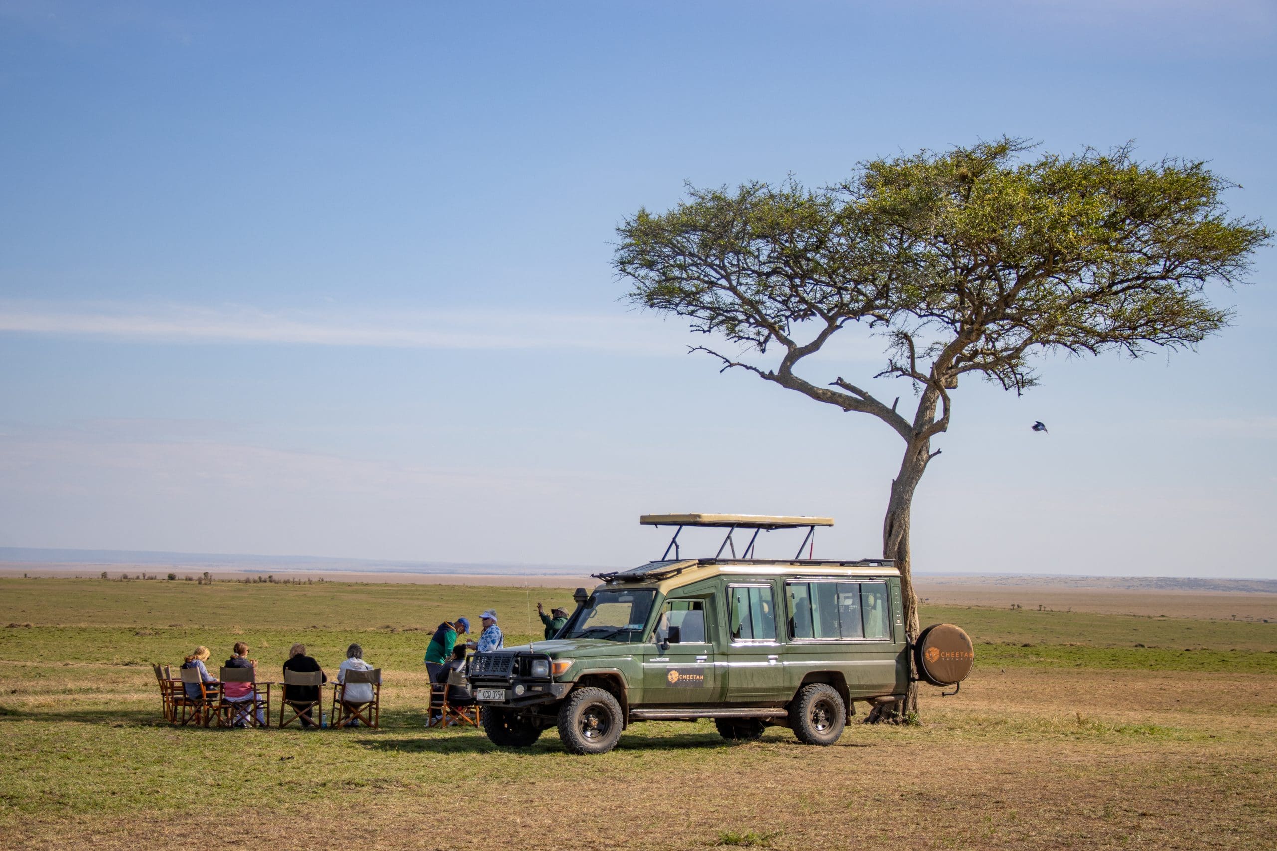 Reviews 8 Cheetah Safaris - Luxury African Safaris - Kenya Safaris - African Safari Holidays