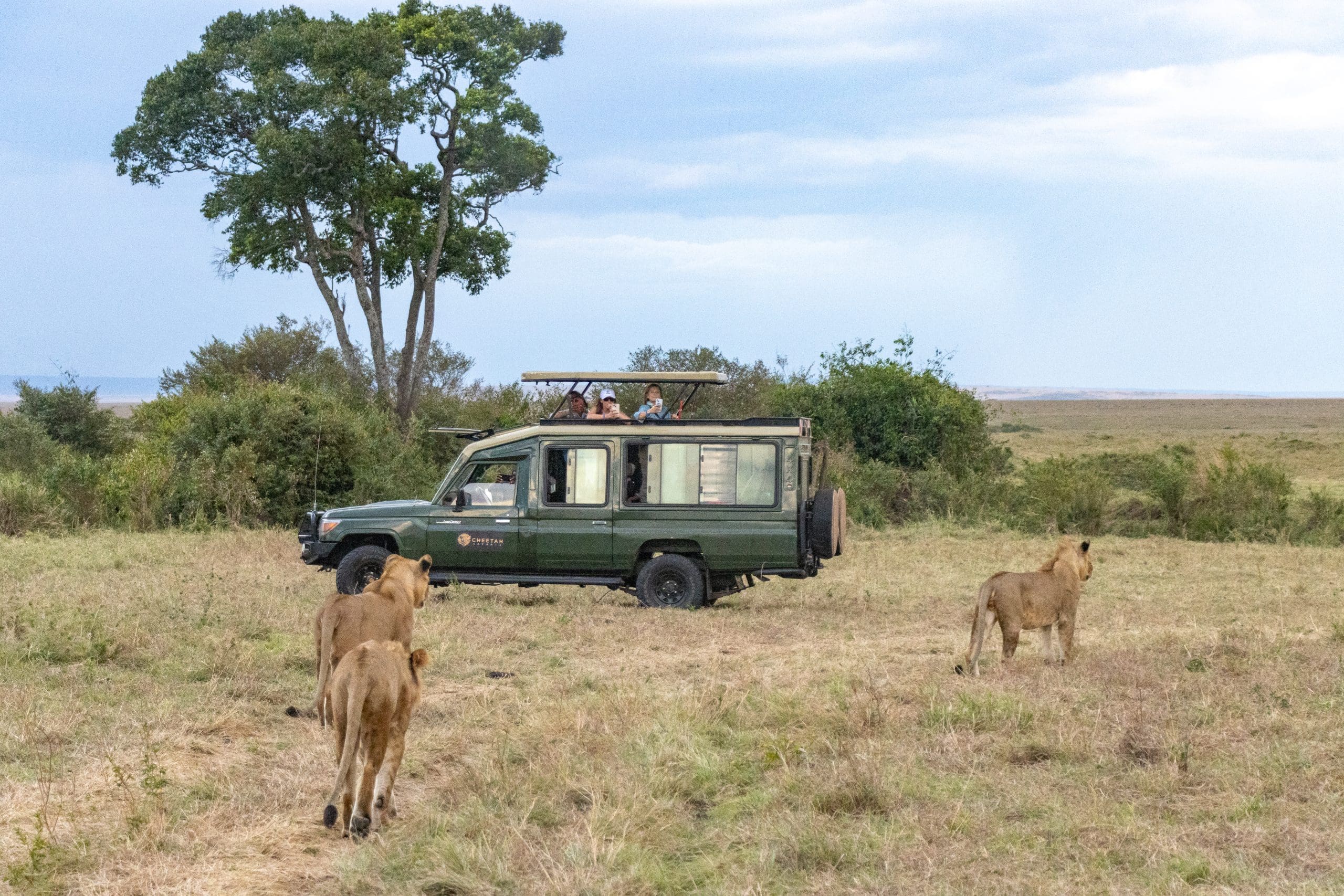 Reviews 9 Cheetah Safaris - Luxury African Safaris - Kenya Safaris - African Safari Holidays