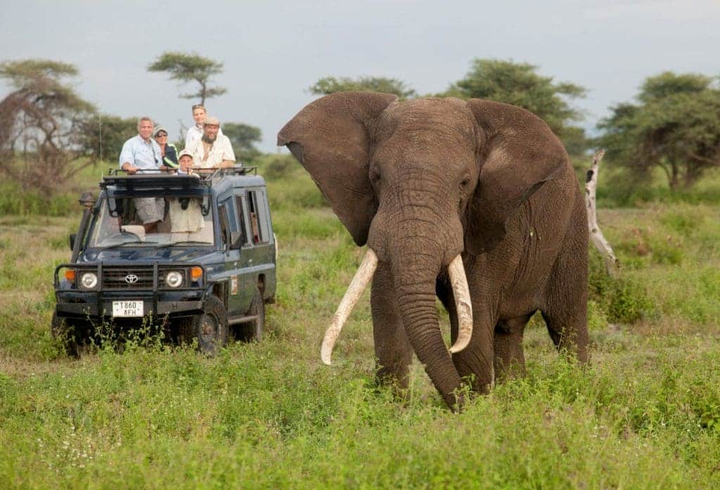 Where To Go on an African Safari in December