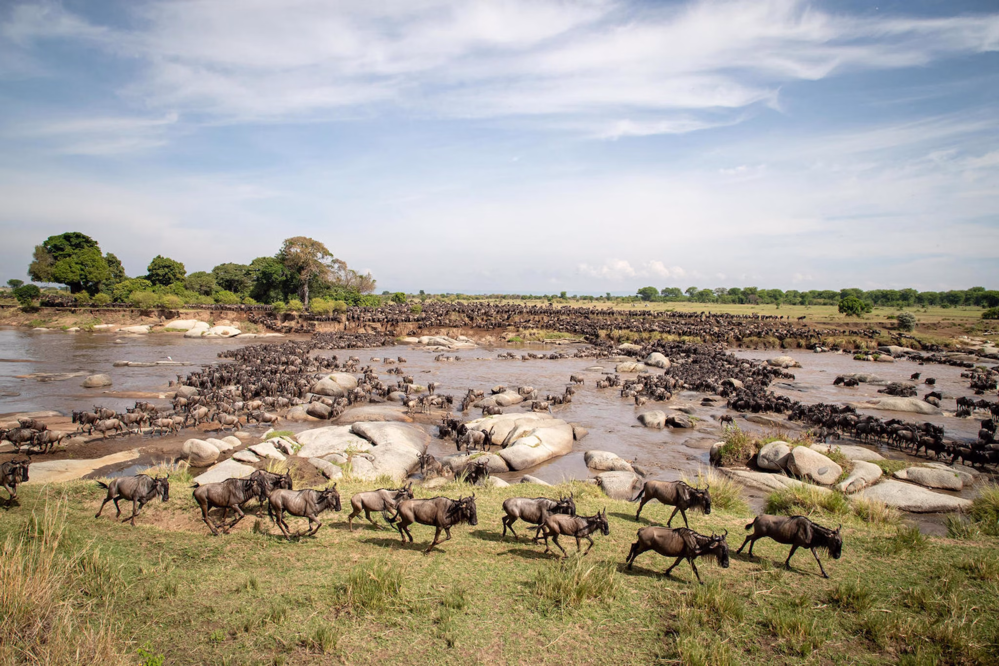 African Safaris in August - Where to Visit in August for Safaris - Cheetah Safaris