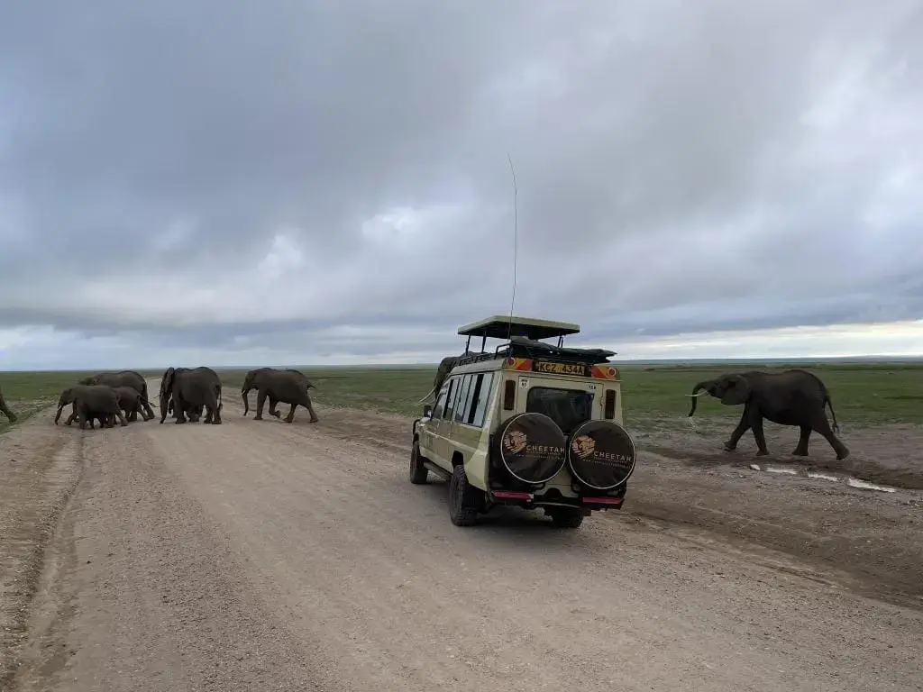 Best Time To Visit Kenya 28 October