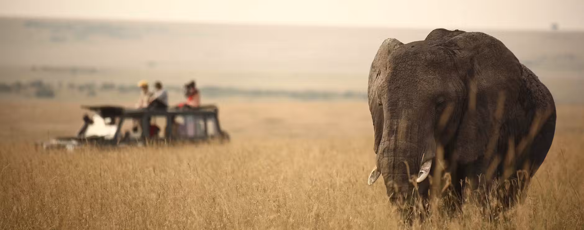 Where To Go on an African Safari in December