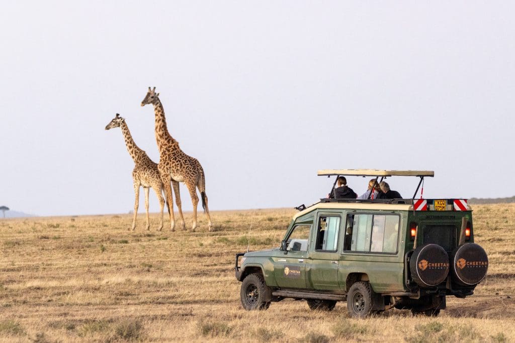 Kenya Safaris - Luxury African Safaris - Cheetah Safaris