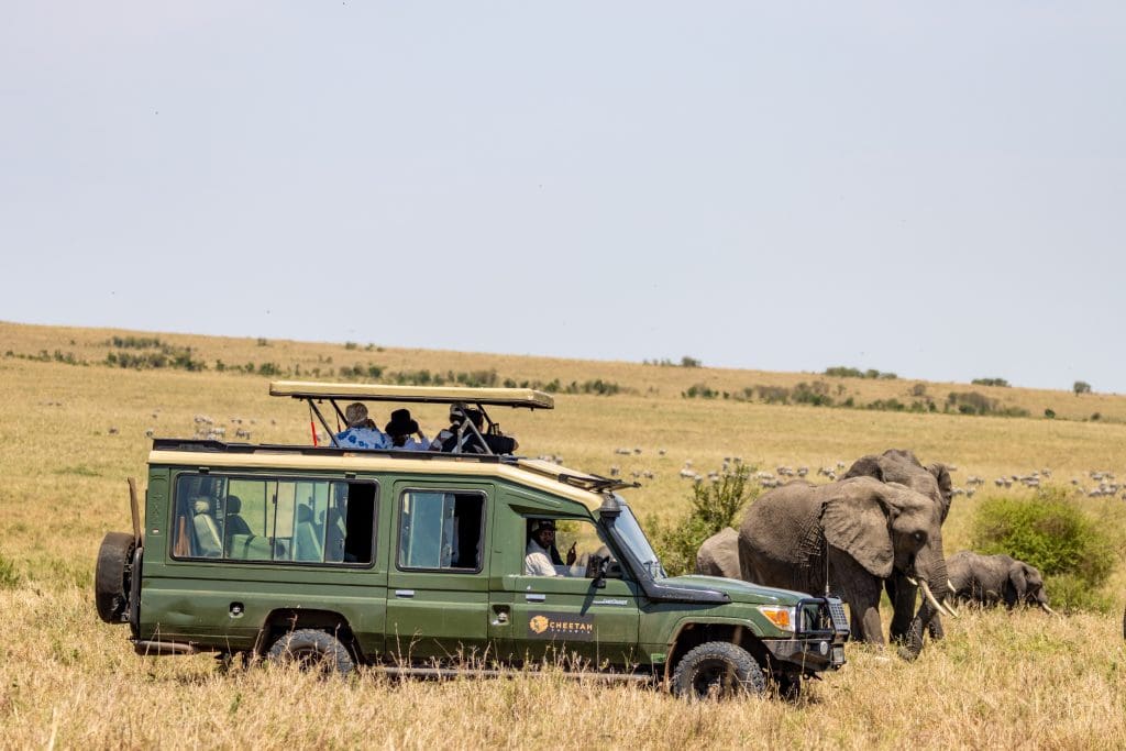 Why Safari Guides Are Important - Best Safari Guides In Africa 17 Cheetah Safaris - Luxury African Safaris - Kenya Safaris - African Safari Holidays
