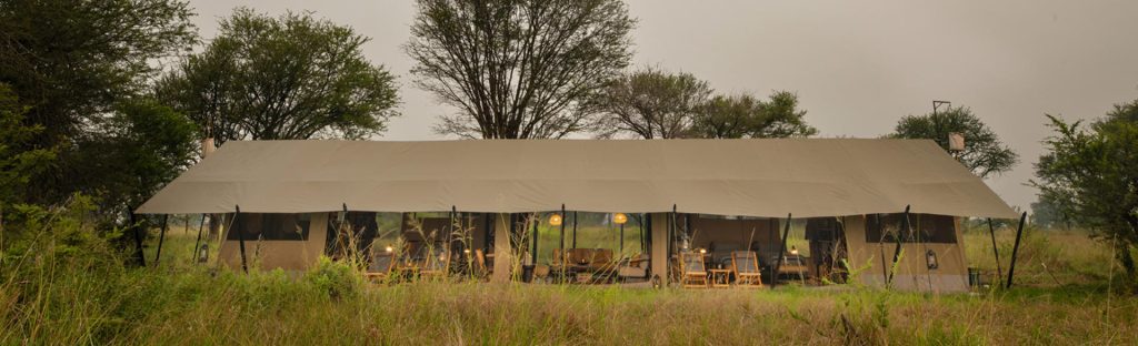 Asilia Ubuntu Migration Camp