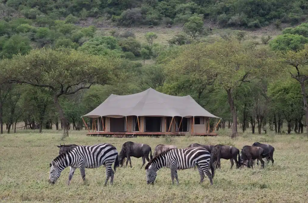 Cherero Camp Serengeti