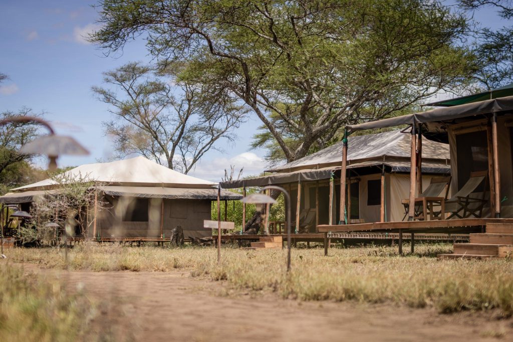 Baobab Central Serengeti Camp